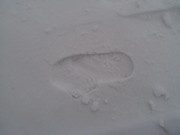 Výprava do zimního lesa